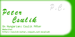 peter csulik business card